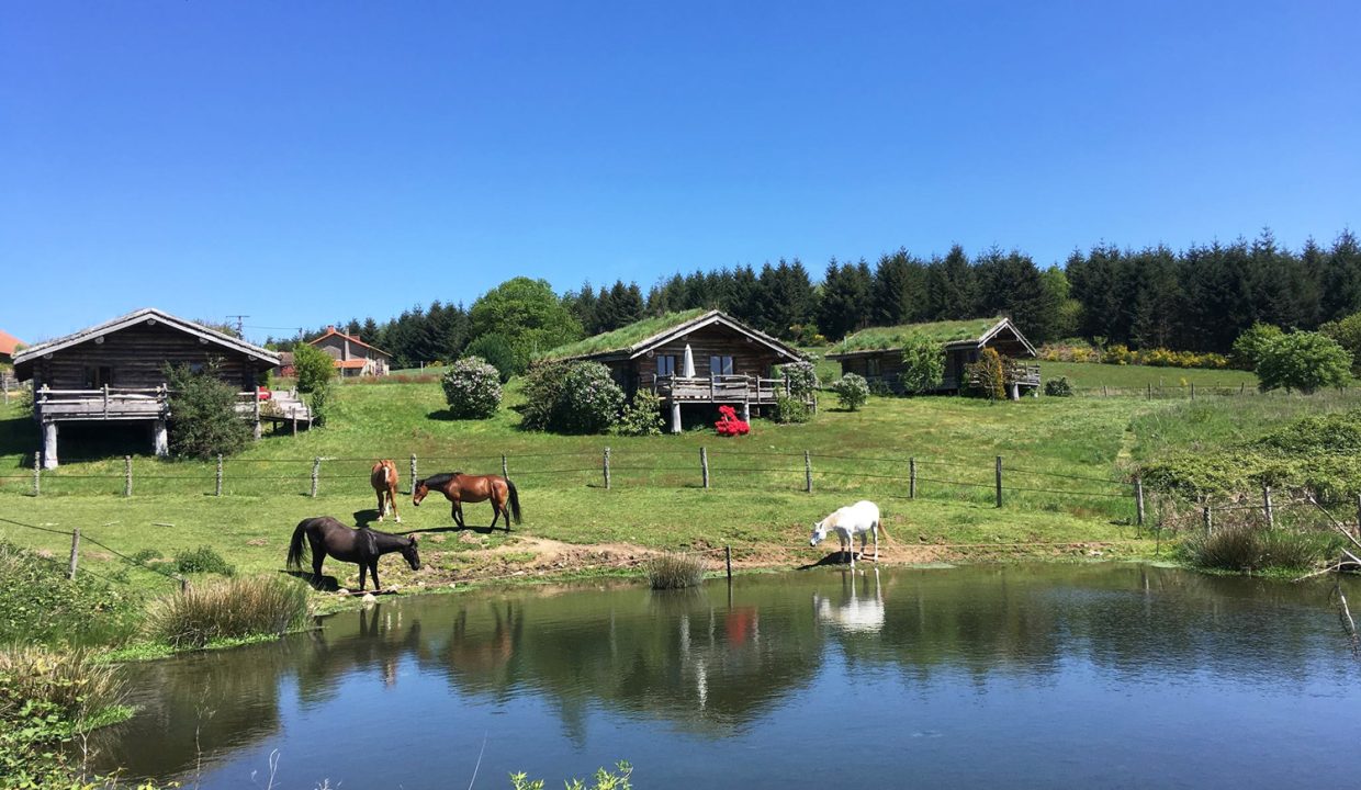 46231143_2282180405326686_1756373549385252864_o