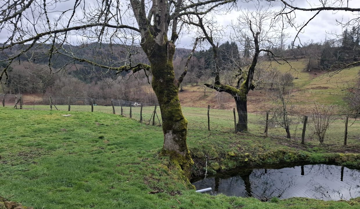 PHOTO-2026-02-18-13-01-37 9