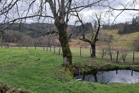 PHOTO-2026-02-18-13-01-37 9