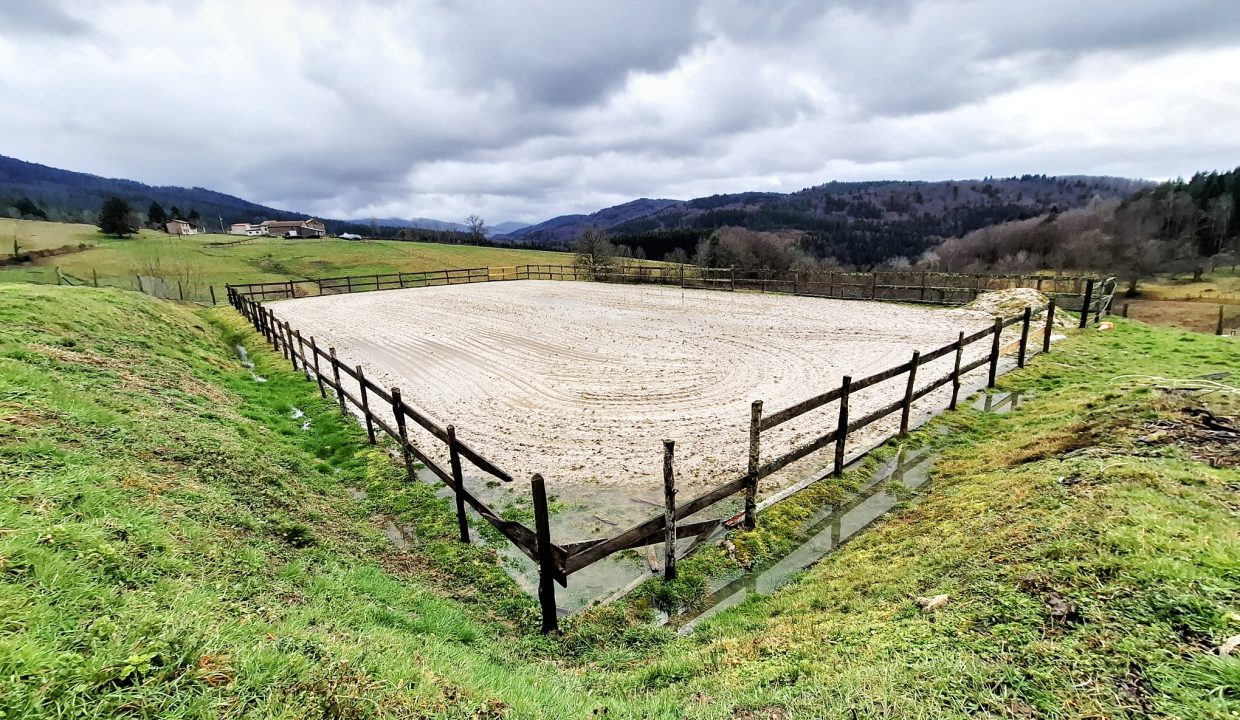 PHOTO-2026-02-18-13-01-38 3