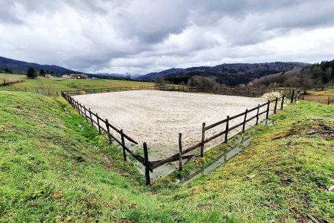 PHOTO-2026-02-18-13-01-38 3