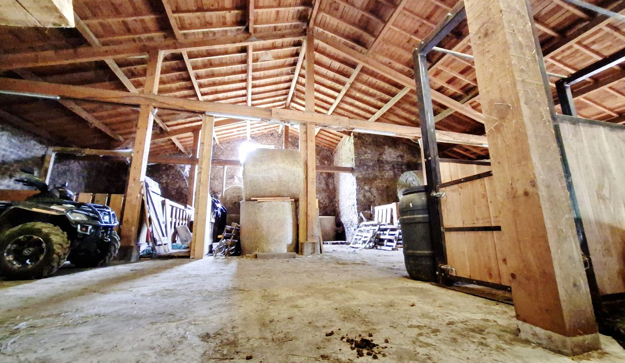 PHOTO-2026-02-18-13-01-38 6