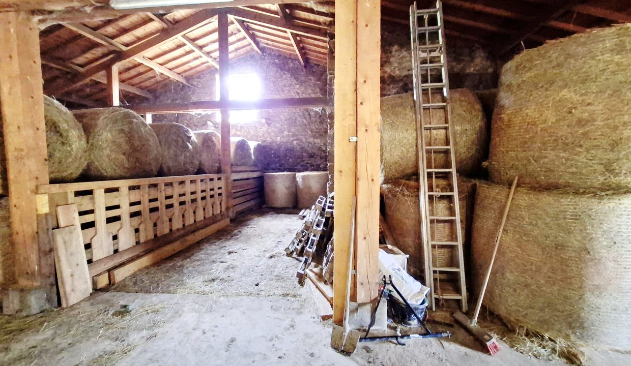 PHOTO-2026-02-18-13-01-38 8