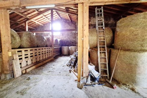 PHOTO-2026-02-18-13-01-38 8