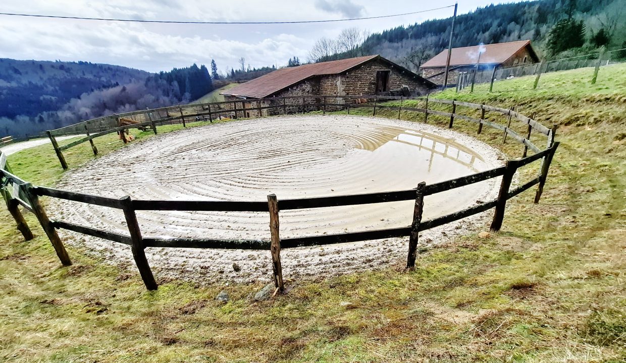 PHOTO-2026-02-18-13-01-39 11