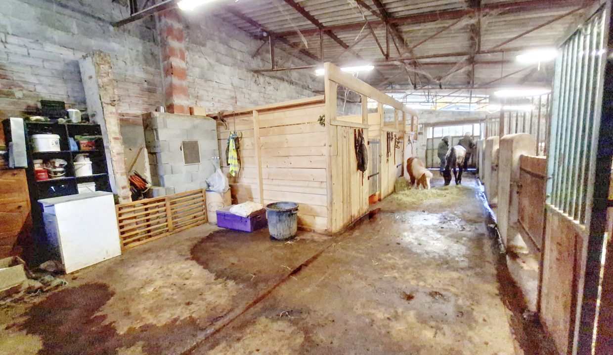 PHOTO-2026-02-18-13-06-03 2