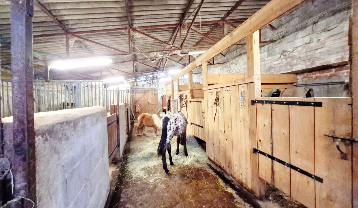 PHOTO-2026-02-18-13-06-03 3