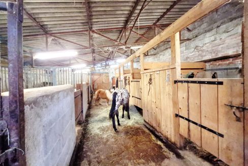 PHOTO-2026-02-18-13-06-03 3