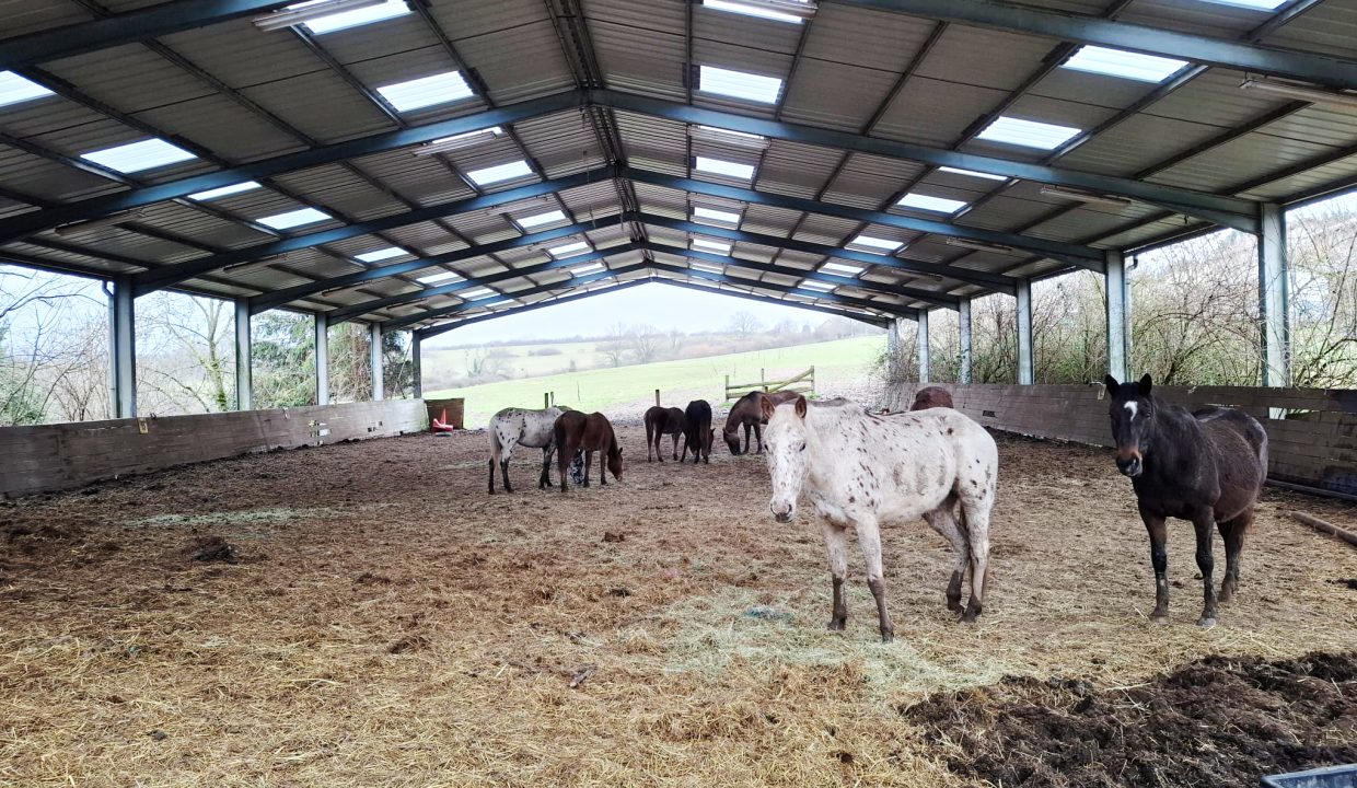 PHOTO-2026-02-18-13-06-04