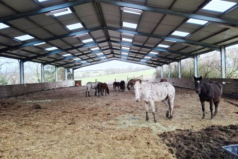 PHOTO-2026-02-18-13-06-04