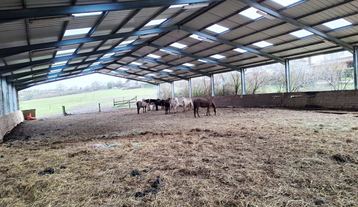 PHOTO-2026-02-18-13-06-08