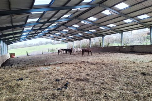 PHOTO-2026-02-18-13-06-08