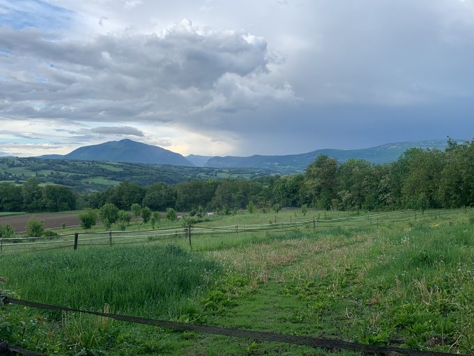 Entre Annecy et Genève – Un havre de paix avec vue panoramique, où vivre avec ses chevaux prend tout son sens