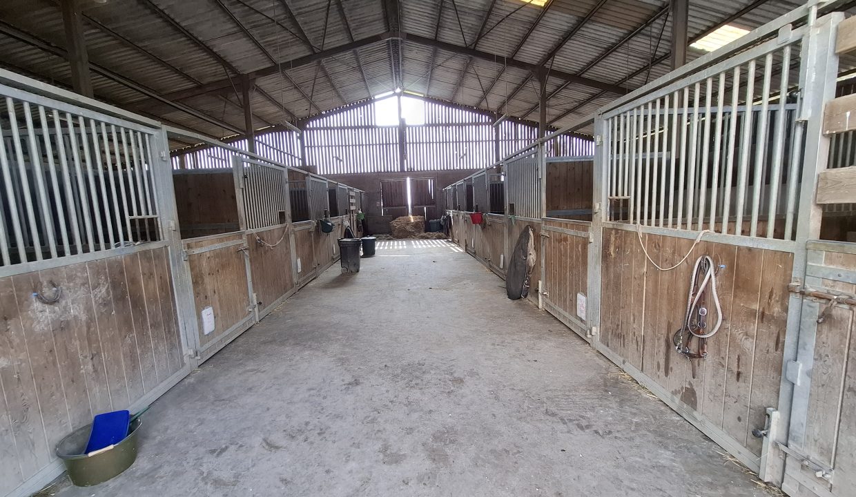 montargie (11)