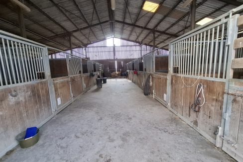 montargie (11)