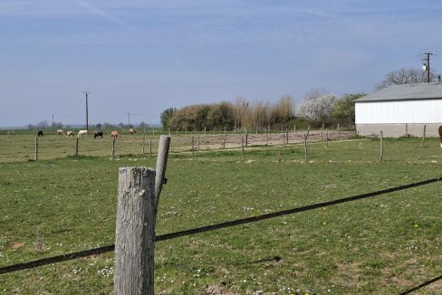 montargie (14)