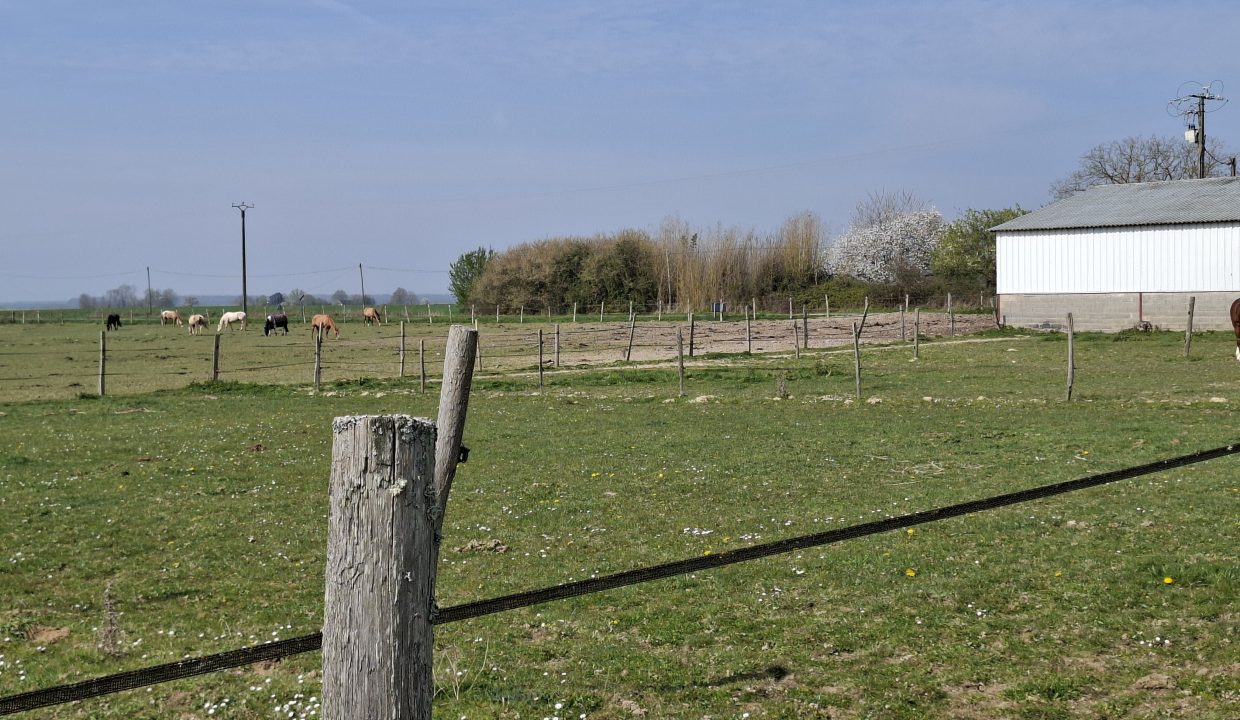 montargie (14)