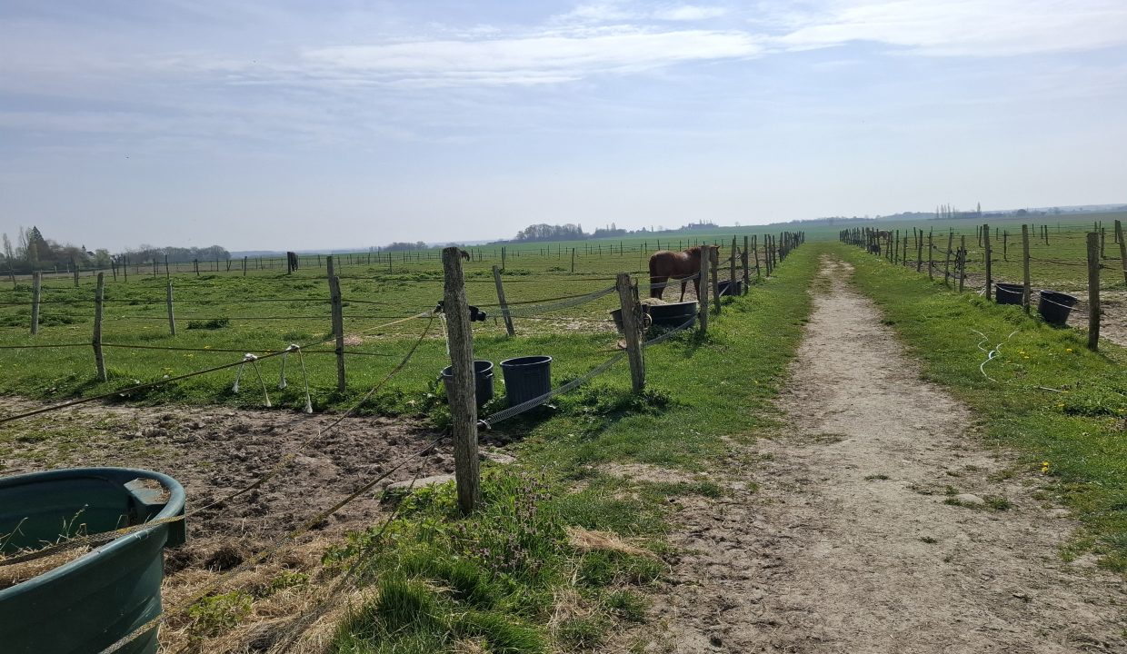 montargie (15)