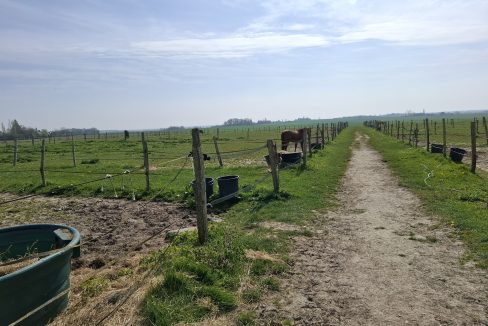montargie (15)
