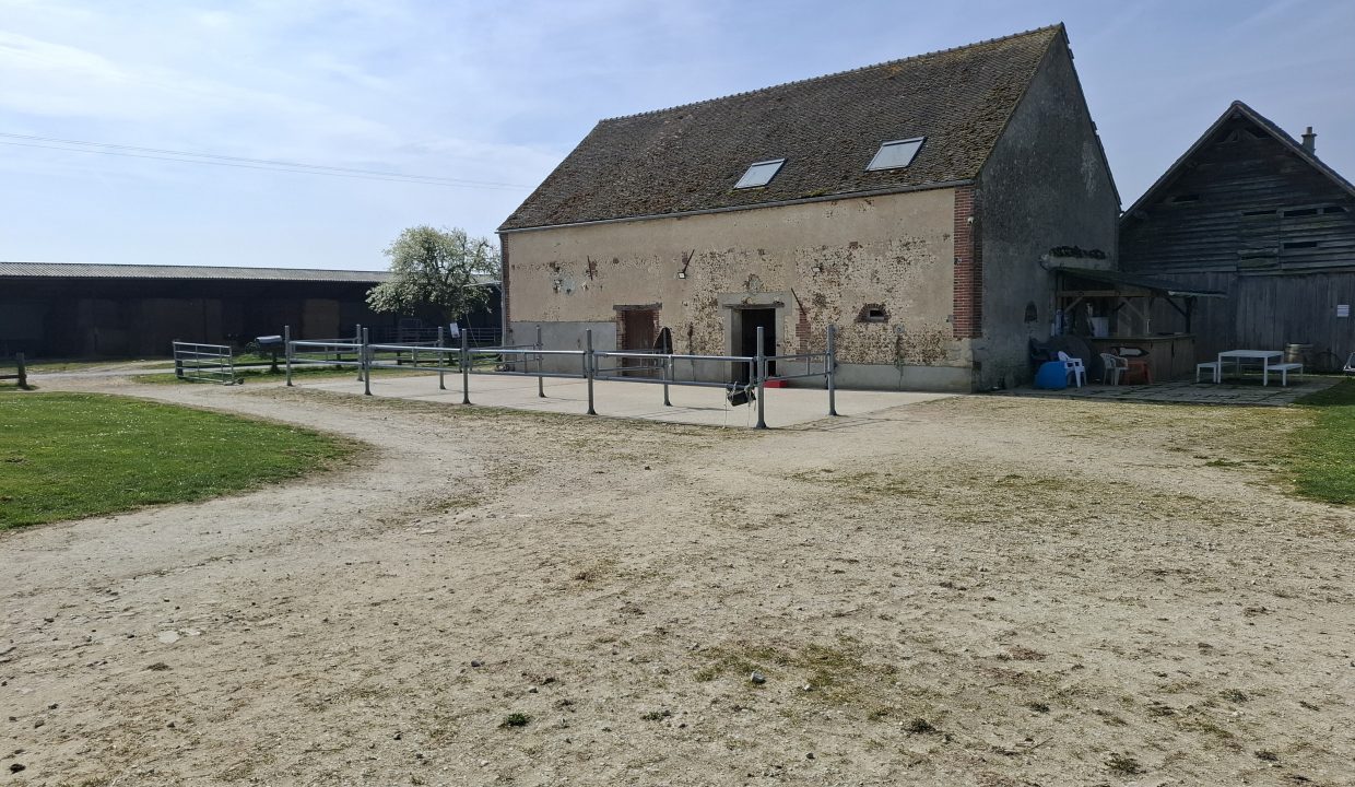 montargie (18)