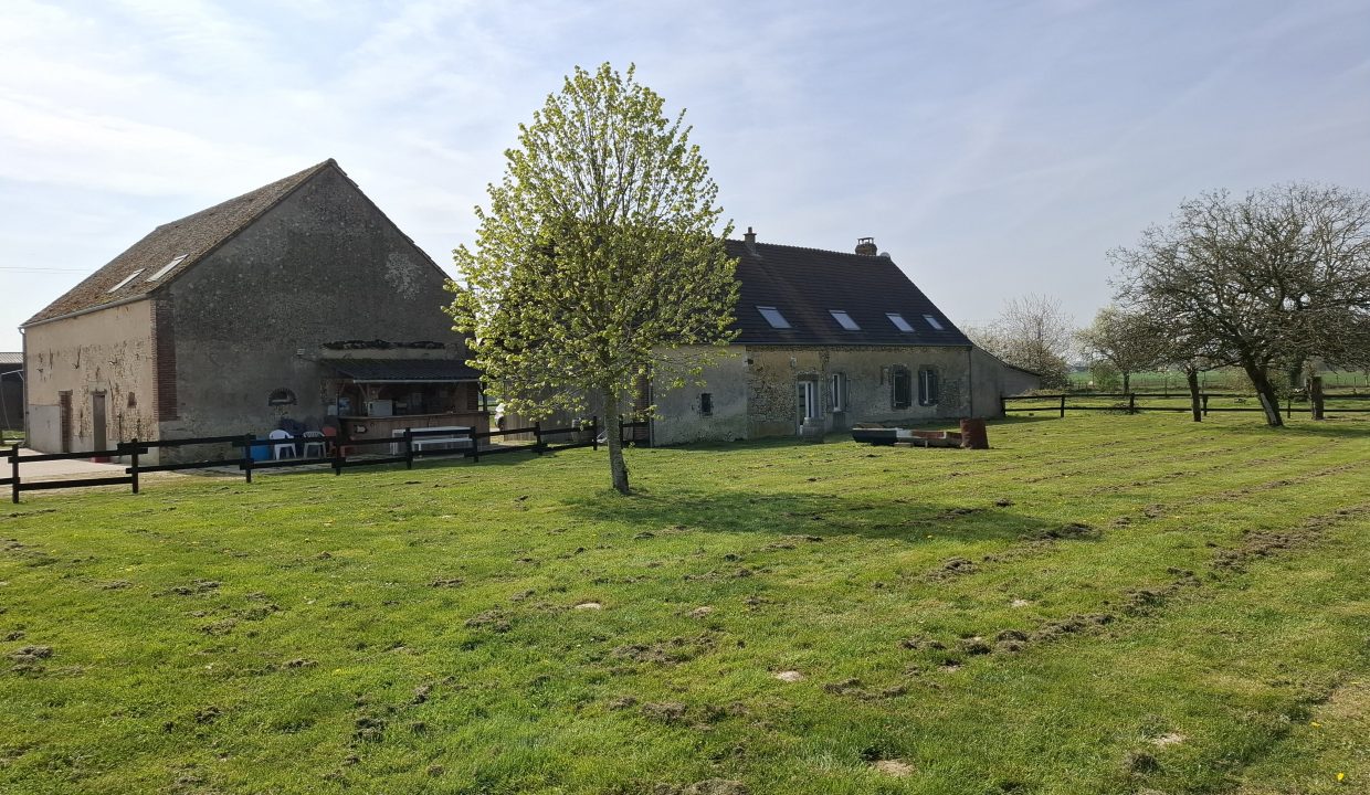 montargie (19)