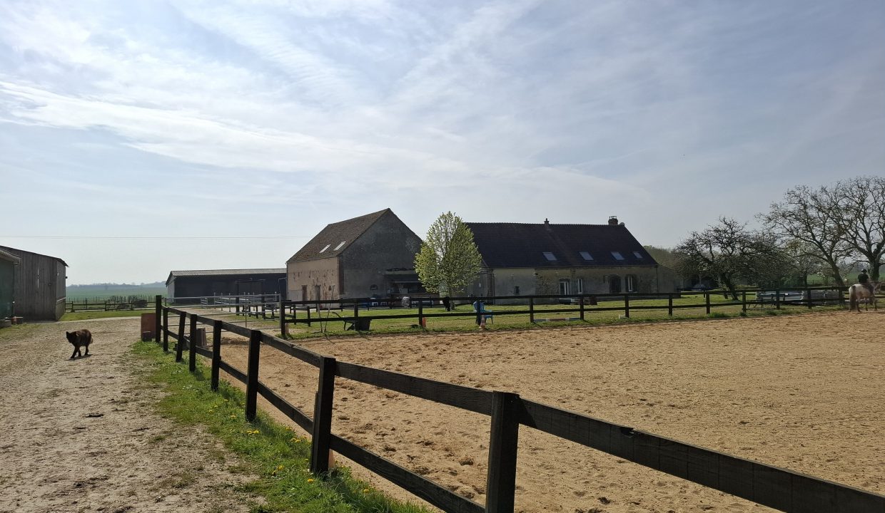 montargie (20)