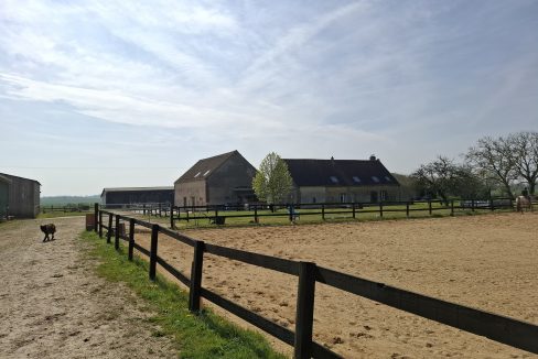 montargie (20)