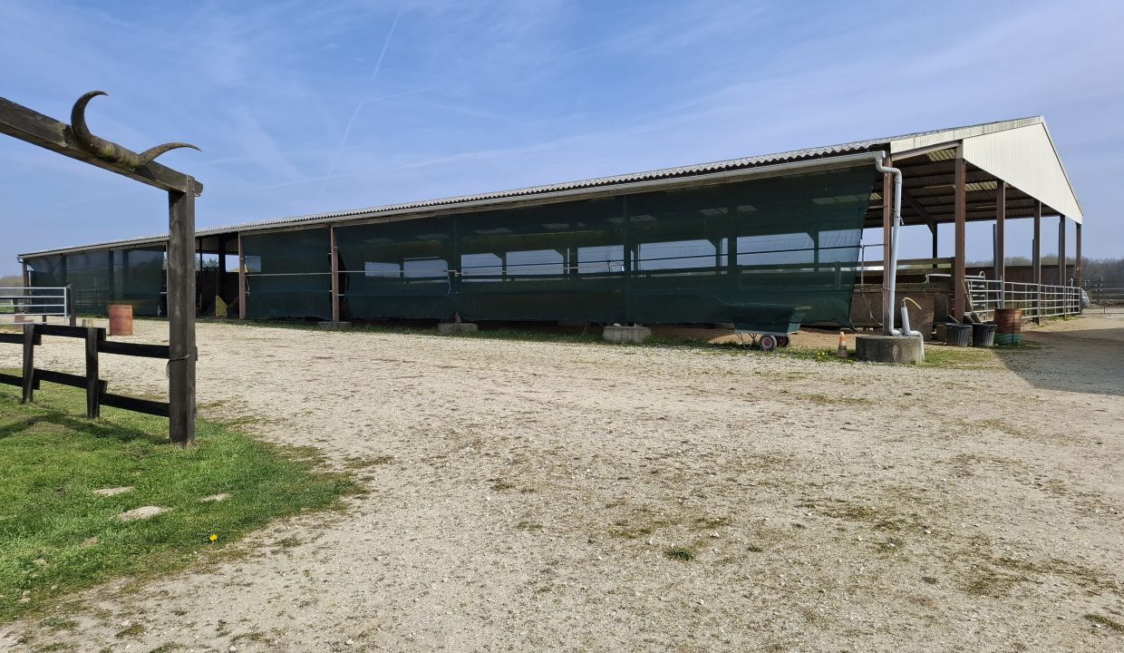 montargie (39)