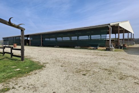 montargie (39)