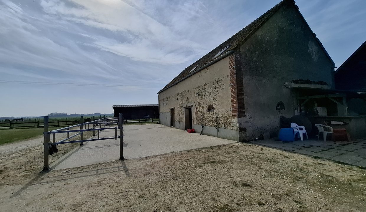 montargie (6)