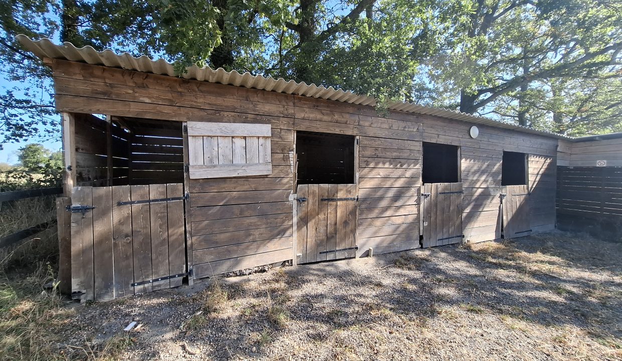 teilhede (23)