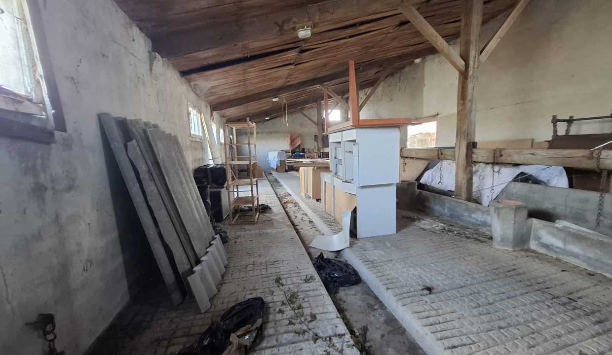 notredamedumont (6)