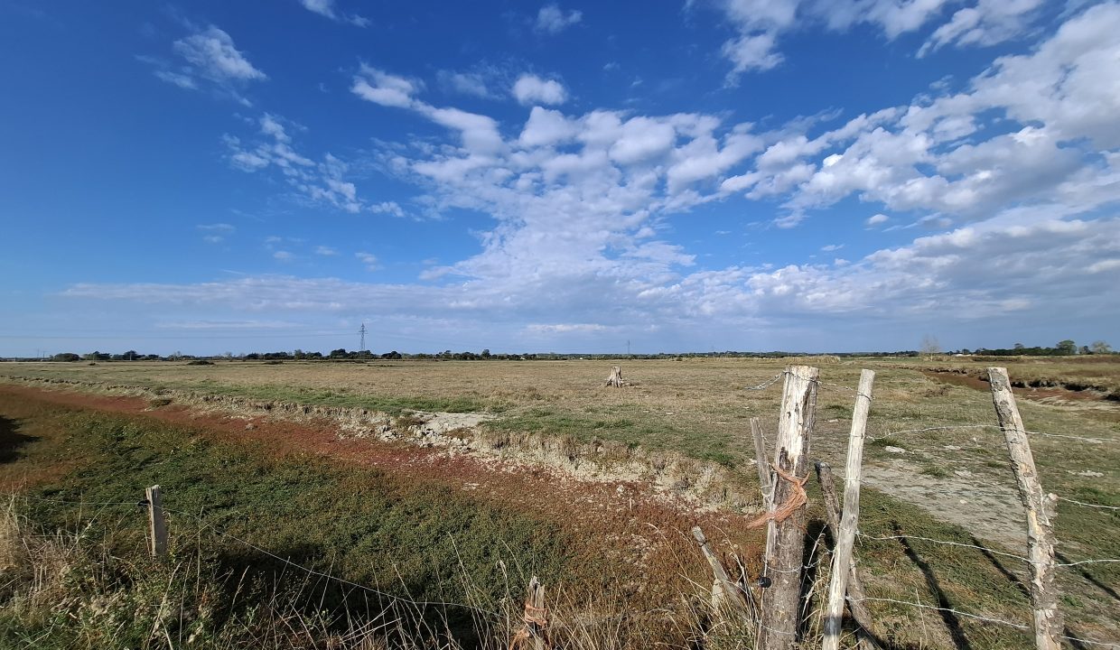 notredamedumont (9)