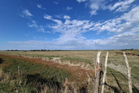 notredamedumont (9)